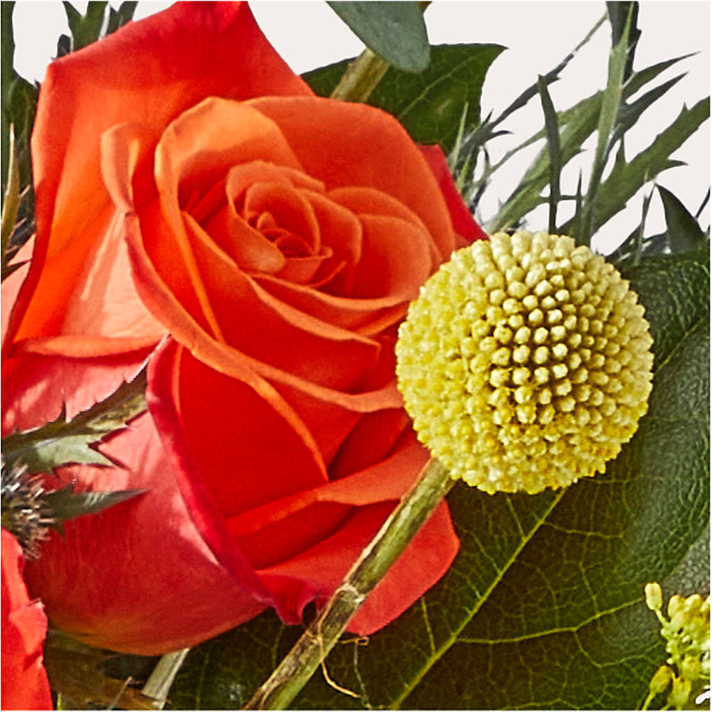 Disco Bouquet –  Hirzel Brothers Greenhouse, Toledo OH