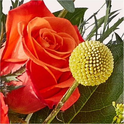 Disco Bouquet –  Hirzel Brothers Greenhouse, Toledo OH
