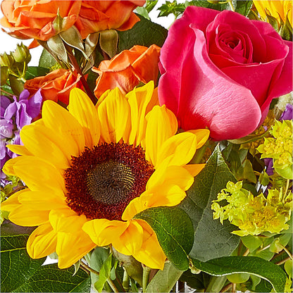 Vibrant Greetings Bouquet –  Hirzel Brothers Greenhouse, Toledo OH