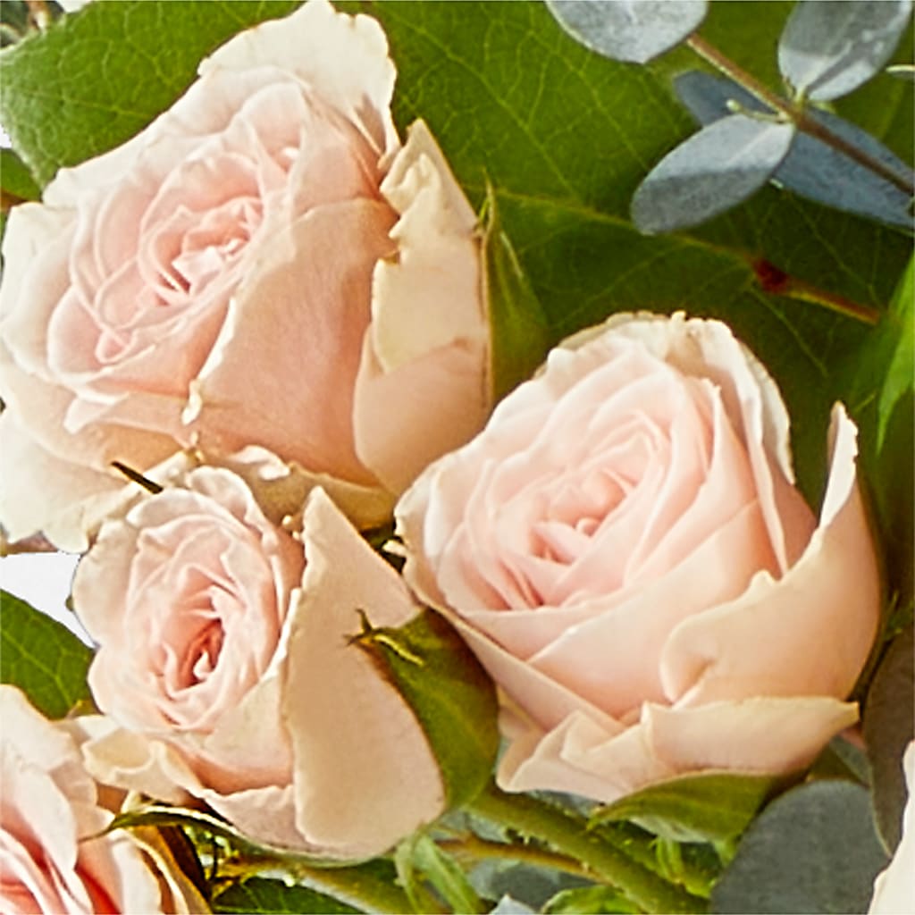 Inspired Bouquet –  Hirzel Brothers Greenhouse, Toledo OH