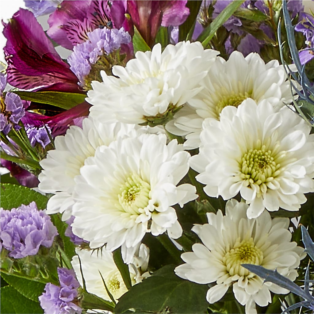 Shooting Star Bouquet –  Hirzel Brothers Greenhouse, Toledo OH