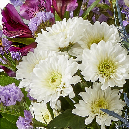 Shooting Star Bouquet –  Hirzel Brothers Greenhouse, Toledo OH