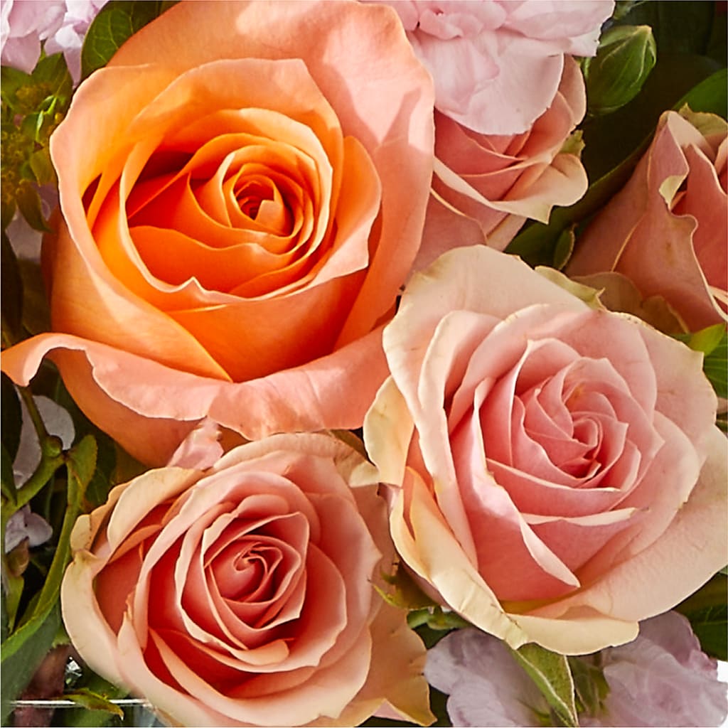 French Market Bouquet –  Hirzel Brothers Greenhouse, Toledo OH