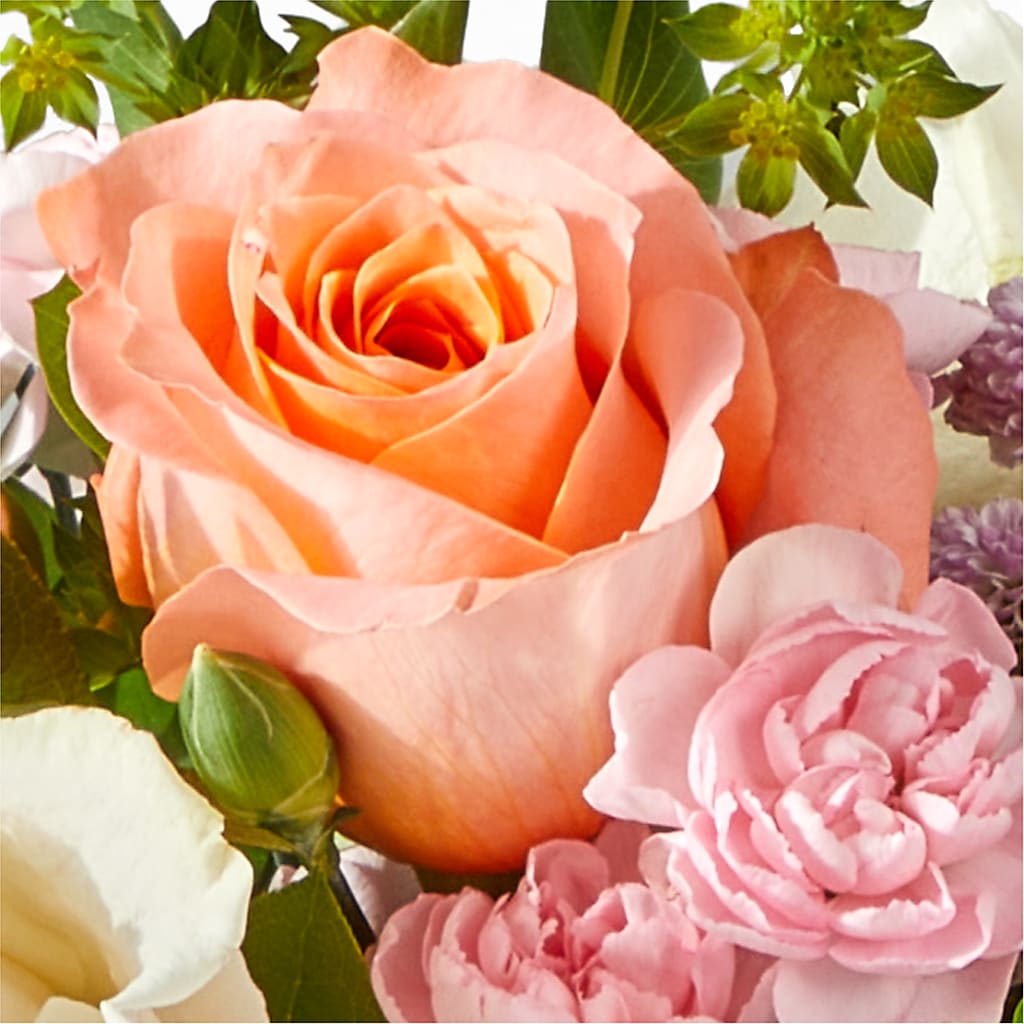 French Market Bouquet –  Hirzel Brothers Greenhouse, Toledo OH