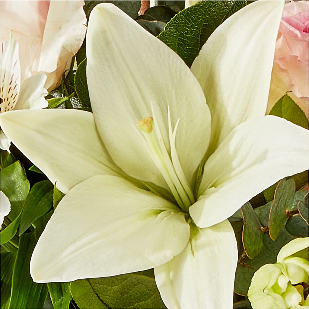 Ballet Slippers Bouquet –  Hirzel Brothers Greenhouse, Toledo OH