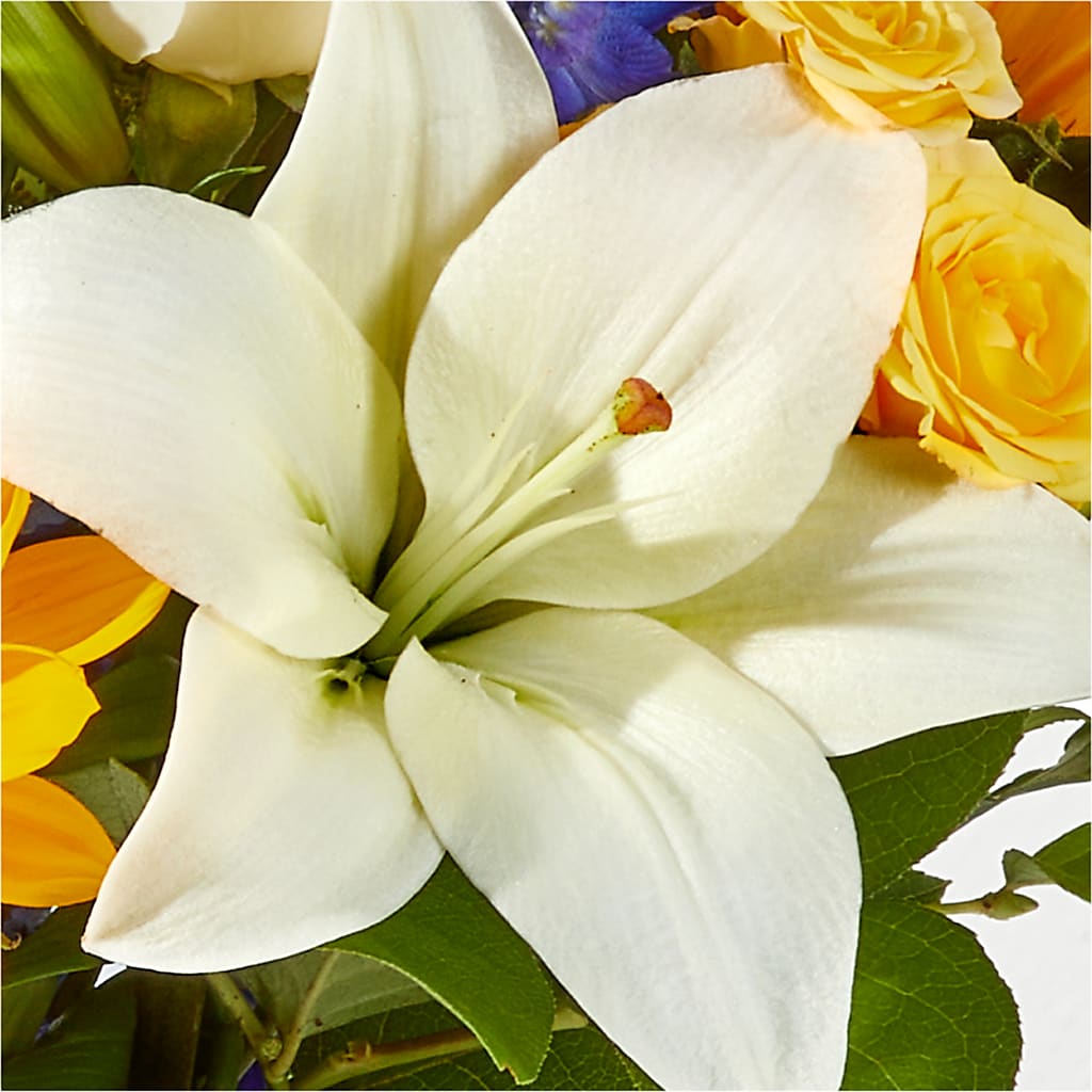 Wonderfully Sunny Bouquet –  Hirzel Brothers Greenhouse, Toledo OH