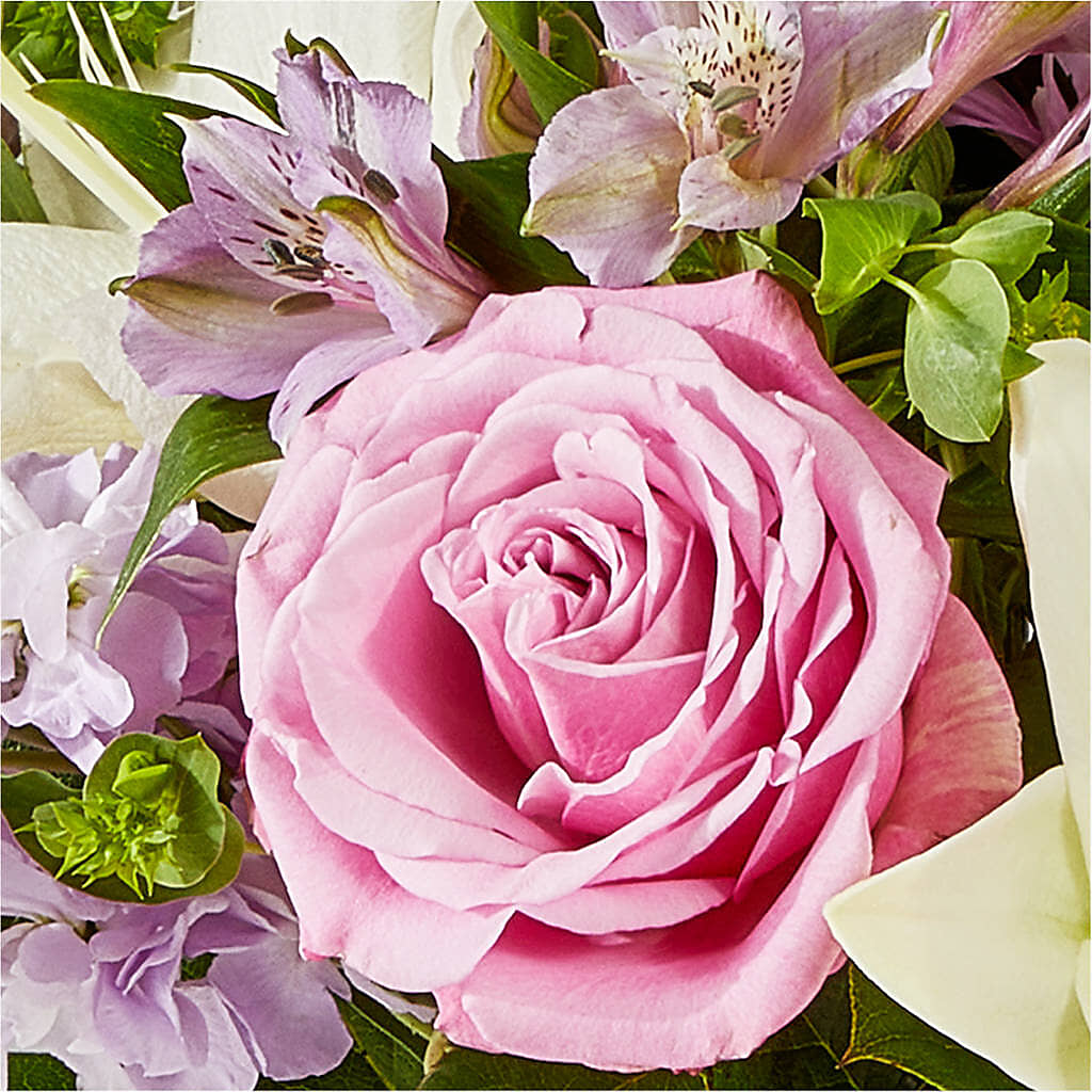 Daydreamer Bouquet –  Hirzel Brothers Greenhouse, Toledo OH