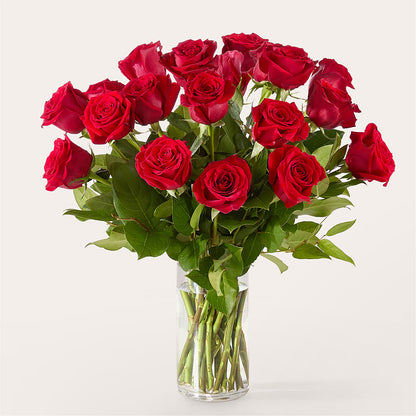 The One Red Rose Bouquet –  Hirzel Brothers Greenhouse, Toledo OH