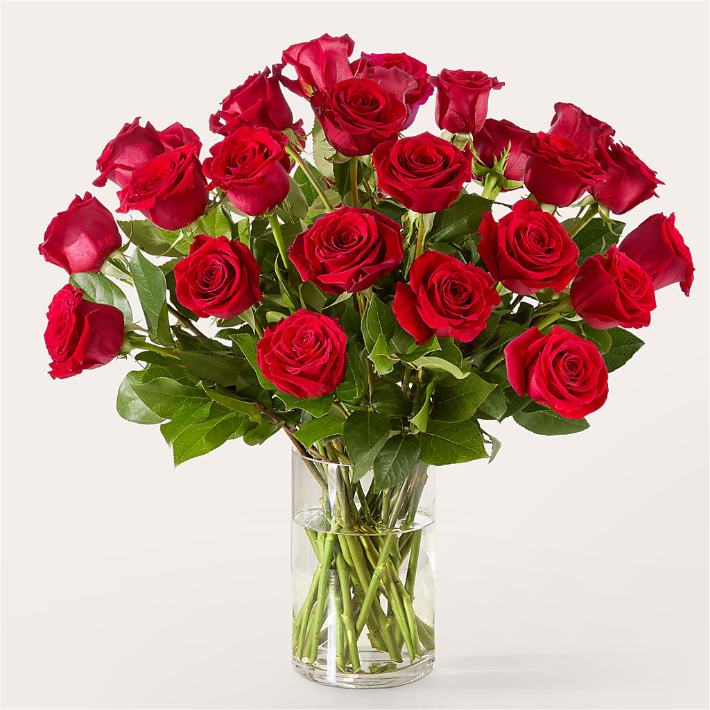 The One Red Rose Bouquet –  Hirzel Brothers Greenhouse, Toledo OH