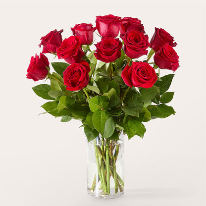 The One Red Rose Bouquet –  Hirzel Brothers Greenhouse, Toledo OH