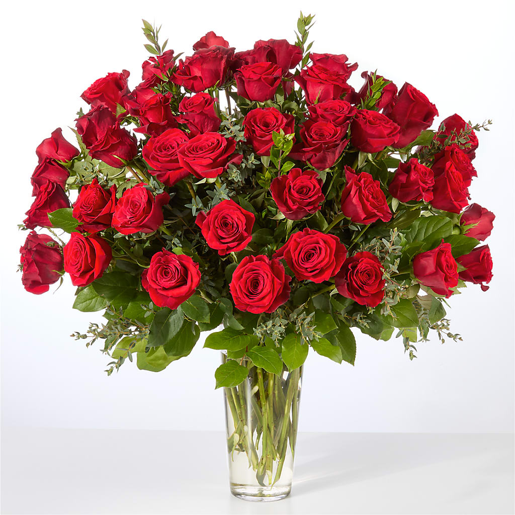 Forever Yours Fifty Stem Red Rose Bouquet –  Hirzel Brothers Greenhouse, Toledo OH
