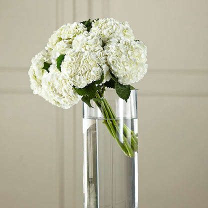 White Hydrangea Hand-Tied Bouquet –  Hirzel Brothers Greenhouse, Toledo OH