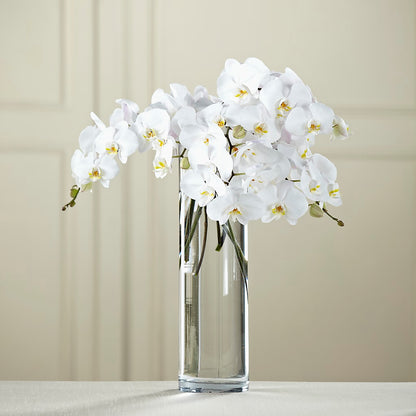 White Phalaenopsis Bouquet –  Hirzel Brothers Greenhouse, Toledo OH
