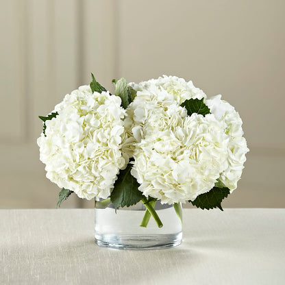 White Hydrangea Bouquet –  Hirzel Brothers Greenhouse, Toledo OH